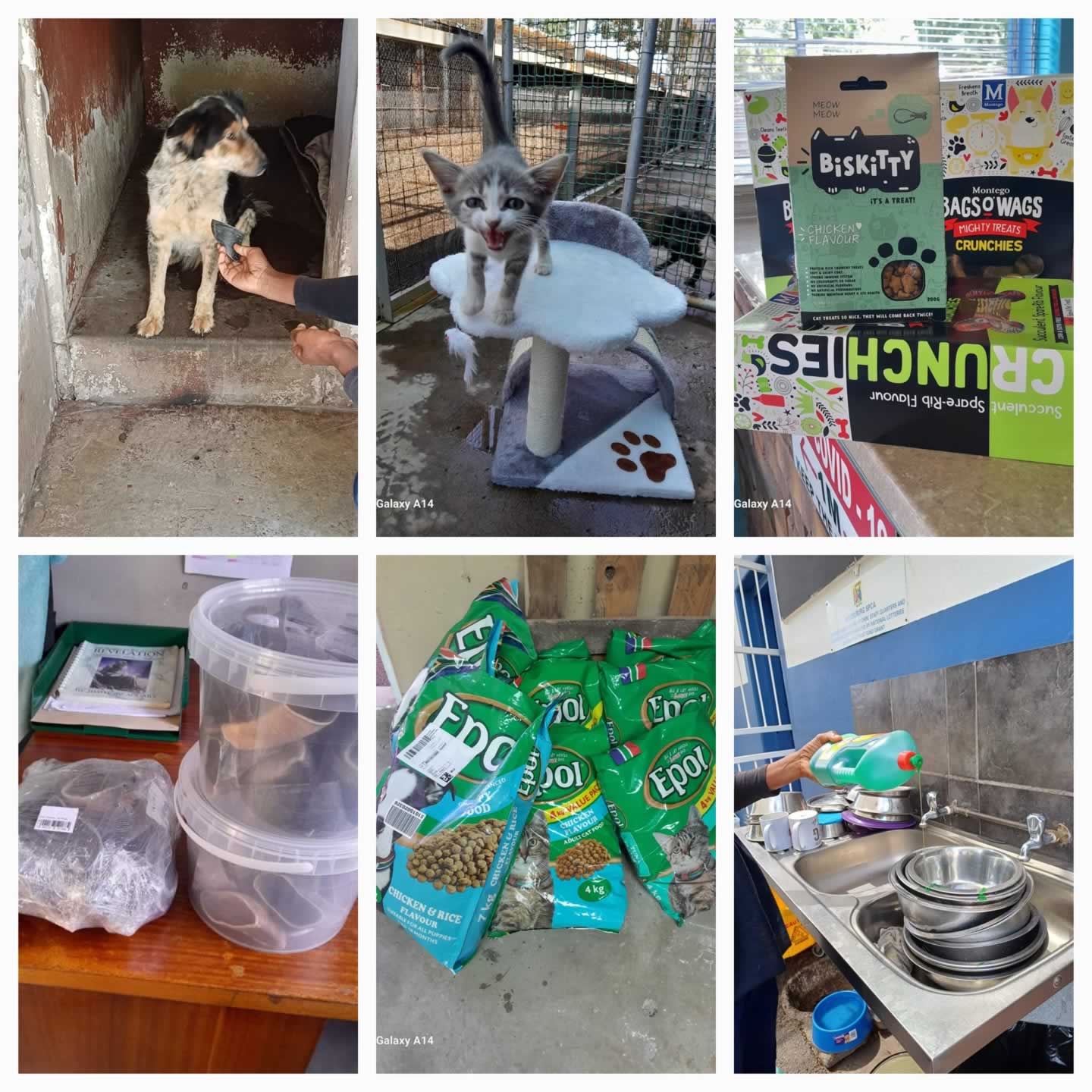 SPCA Middelburg